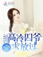 绝宠闪婚妻：高冷四爷，求放过！