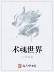术魂世界