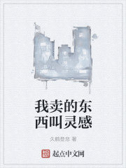 我卖的东西叫灵感