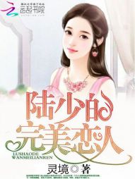 总裁抢婚：陆少的完美恋人